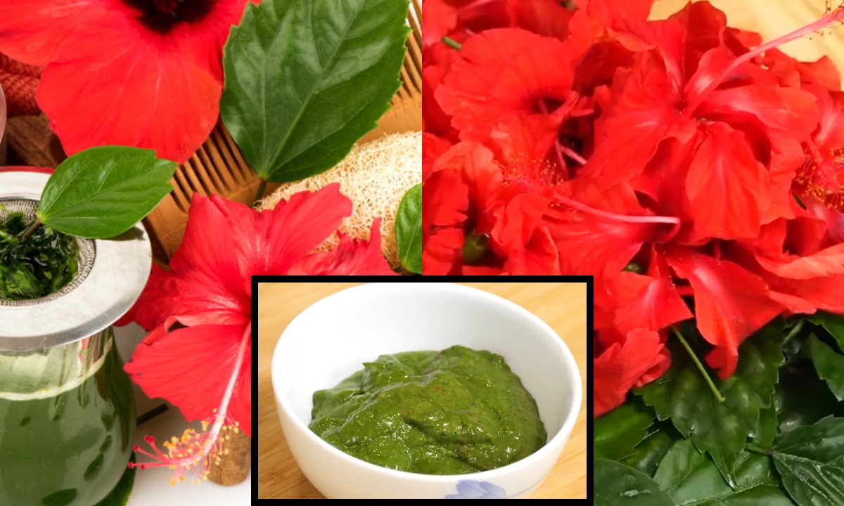 Coconut Virgin Oil For Skin