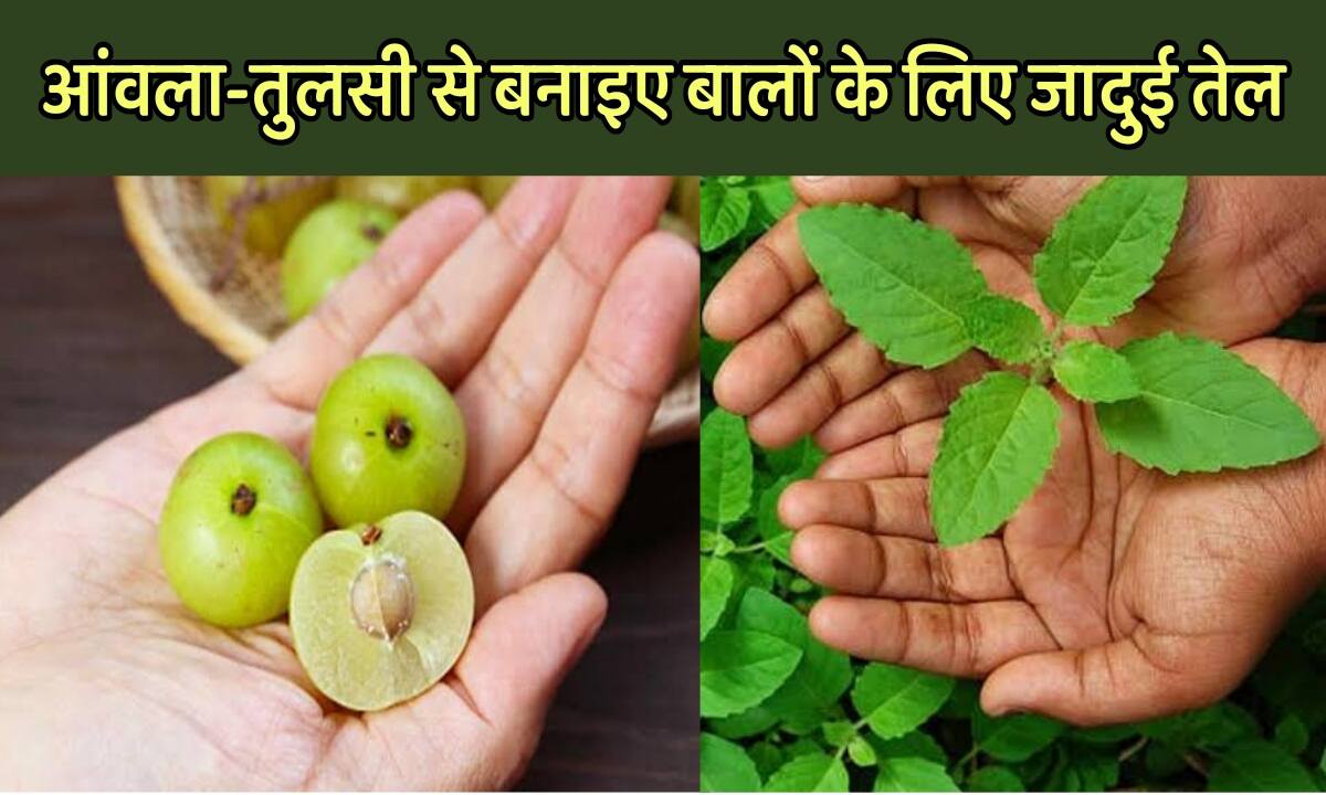 Hair Growth Oil: बालों के झड़ने से हो गए हैं परेशान, अब घर बैठे जड़ों से करें इलाज और पाएं घने बाल